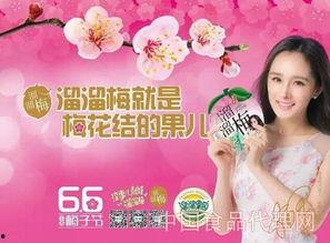 东北食品爆料事件视频播放,揭秘食品安全背后的真相  第1张